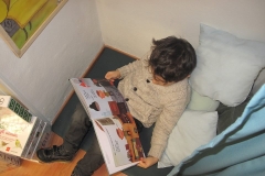 La libreria